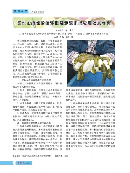 资质声誉