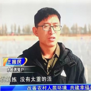 资质声誉