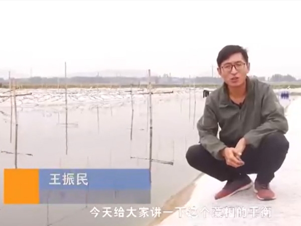 水体藻相平衡