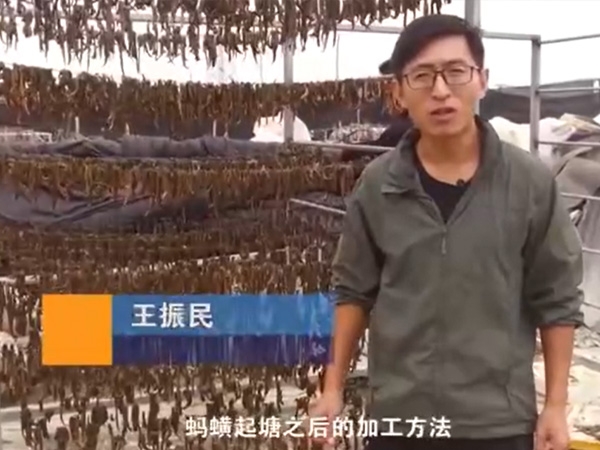 钱柜qg777加工要领