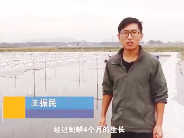 钱柜qg777收获流程