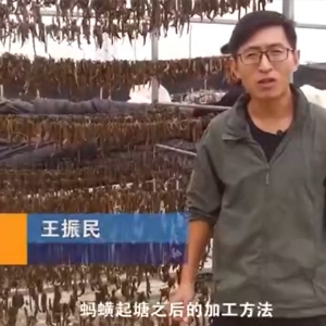 钱柜qg777加工要领